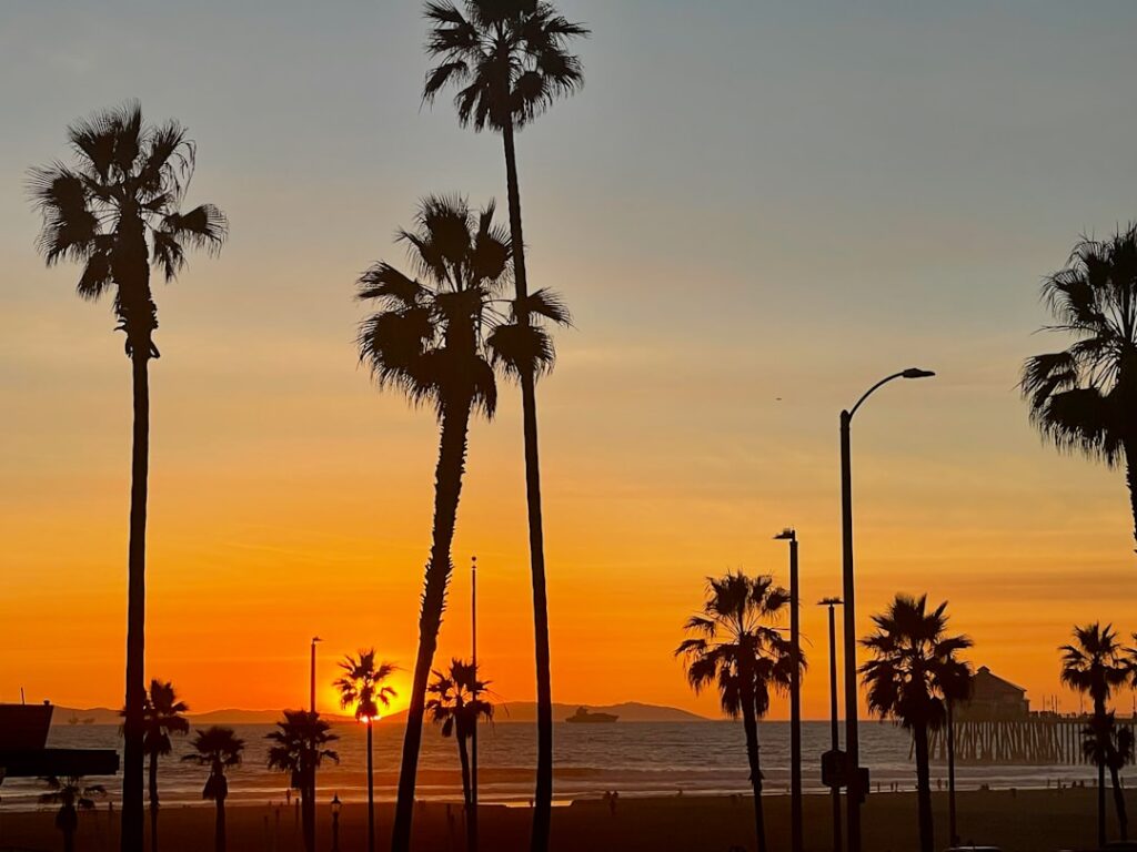 A California sunset, with many palm trees along the coastline.