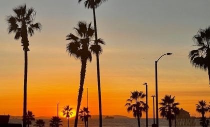 A California sunset, with many palm trees along the coastline.